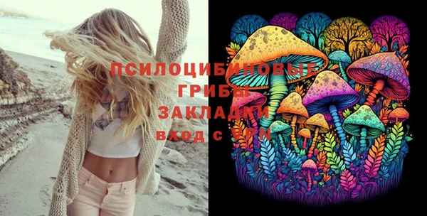 крисы Кукмор