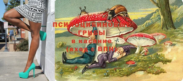 2c-b Кулебаки